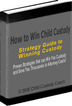 winning your child custody battle
