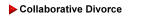 collaborative law and process