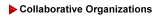 collaborative organizations